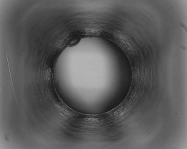 X0000091220649200708301453