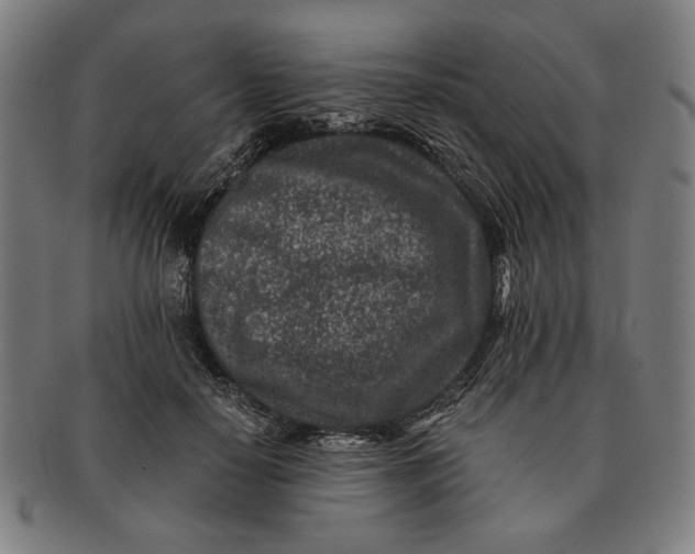 X0000091220650200708301453