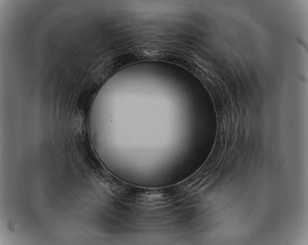 X0000091220651200708301453