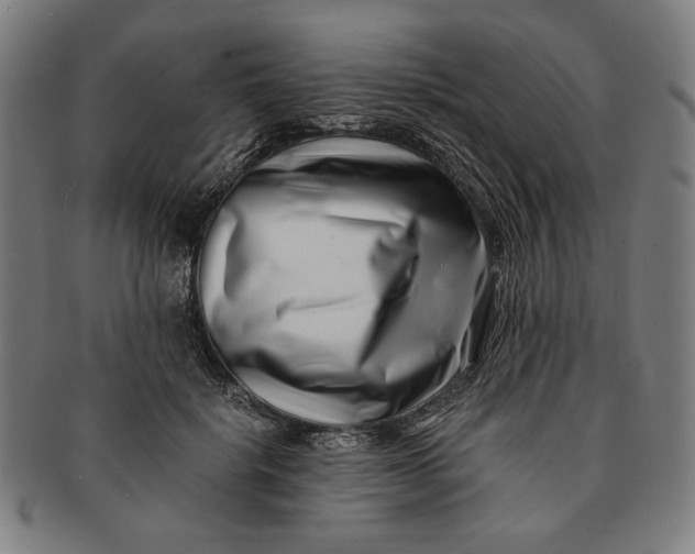 X0000091220652200708301453