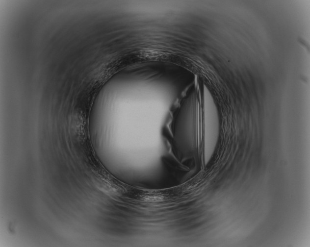 X0000091220653200708301453