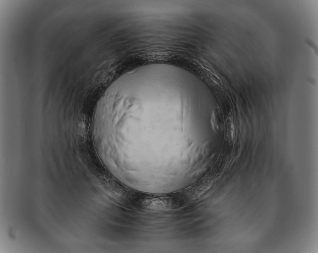 X0000091220655200708301453