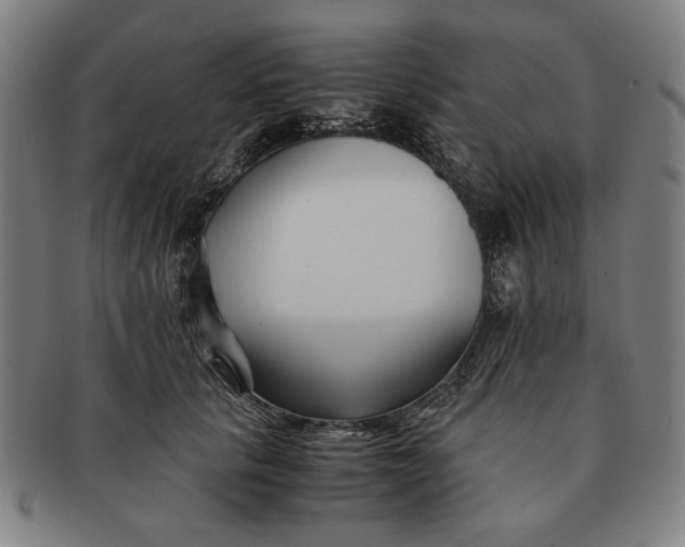 X0000091220657200708301453