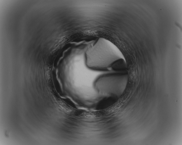 X0000091220658200708301453