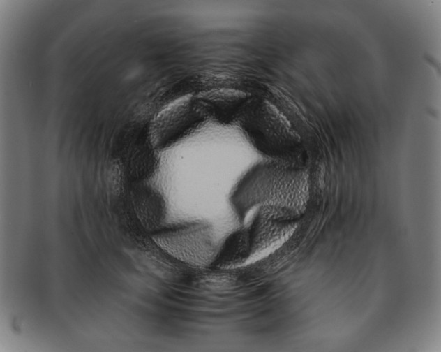 X0000091220659200708301453