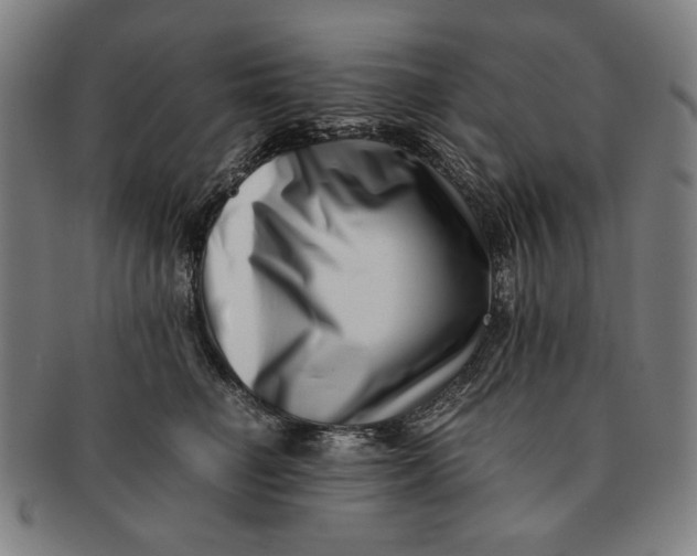 X0000091220662200708301453