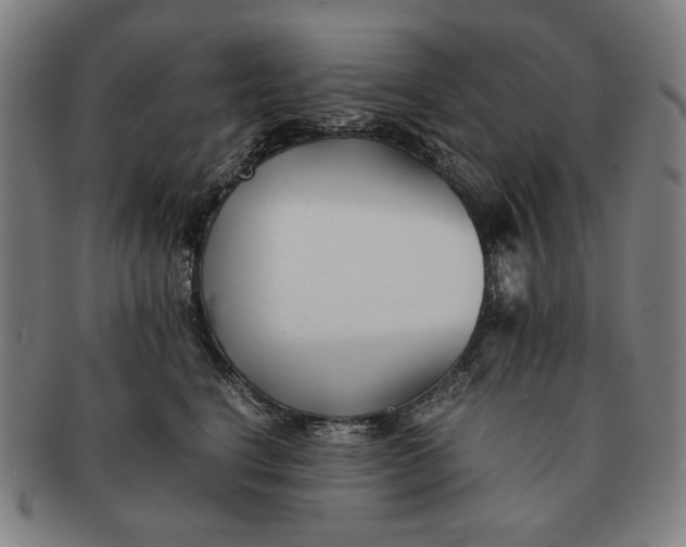 X0000091220664200708301453