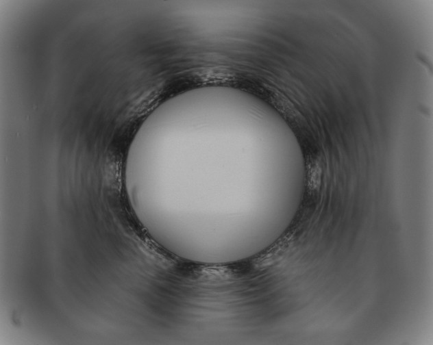 X0000091220666200708301453