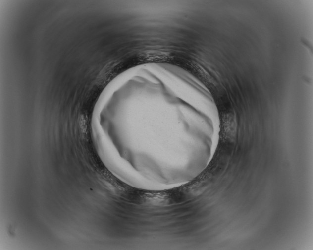 X0000091220667200708301453