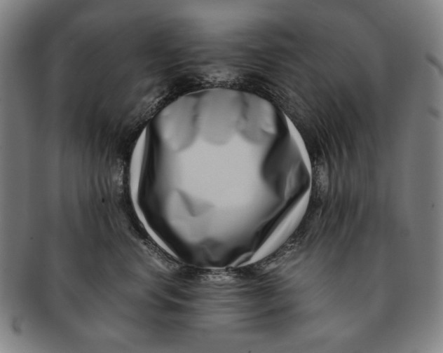 X0000091220668200708301453