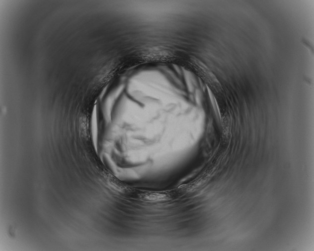 X0000091220669200708301453