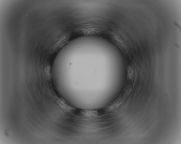 X0000091220670200708301453