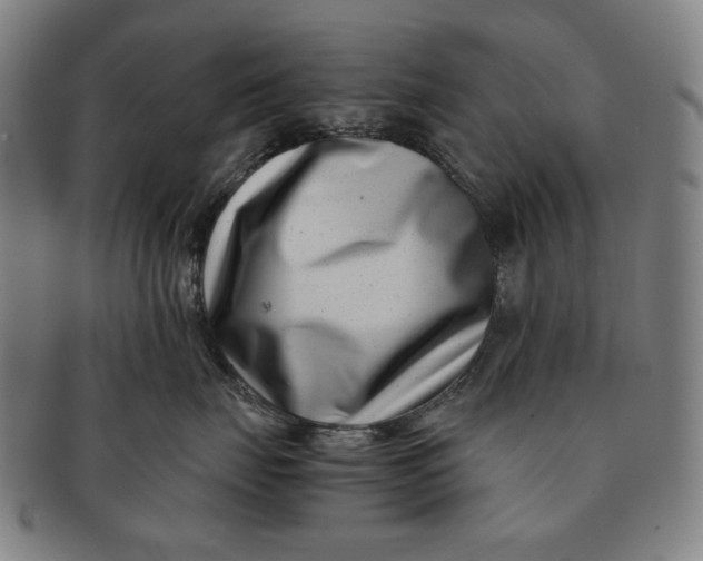 X0000091220671200708301453