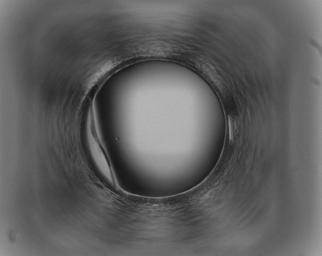 X0000091220675200708301452