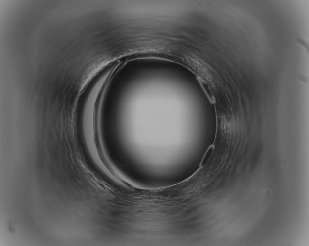 X0000091220676200708301452