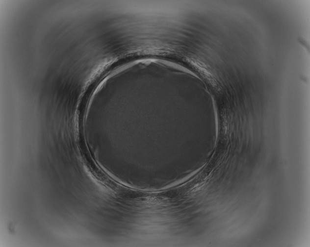 X0000091220678200708301452