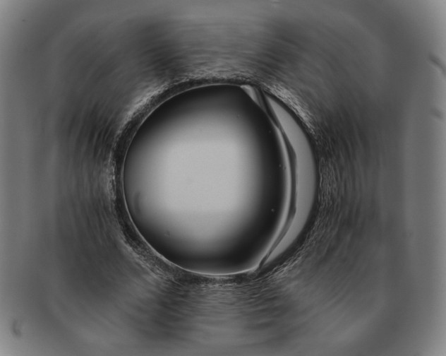 X0000091220680200708301452