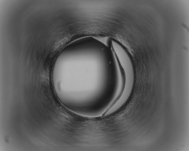 X0000091220681200708301452