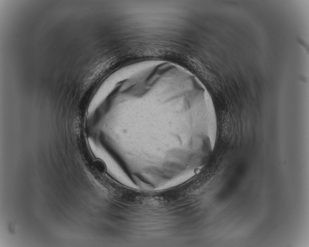 X0000091220683200708301452