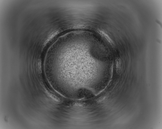 X0000091220684200708301452