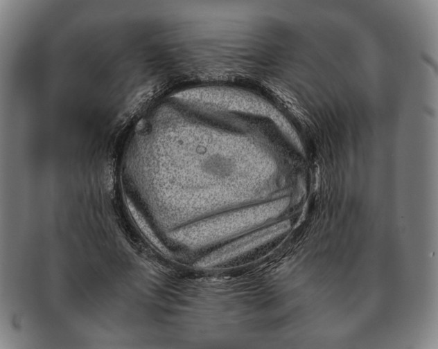 X0000091220687200708301452