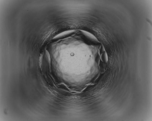 X0000091220691200708301452