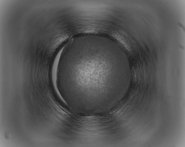 X0000091220692200708301452