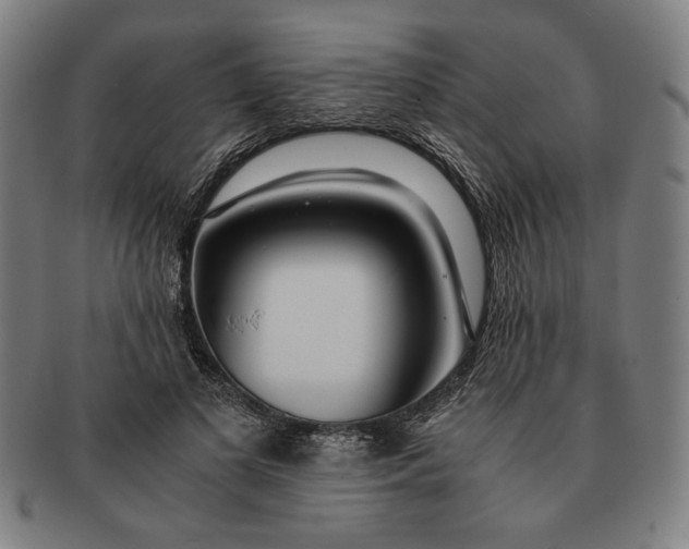 X0000091220693200708301452