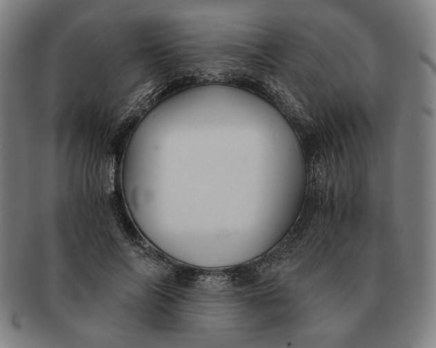 X0000091220694200708301452