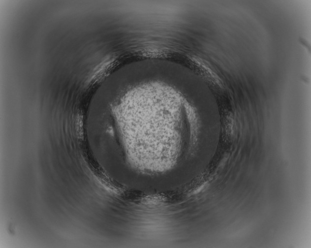 X0000091220696200708301452