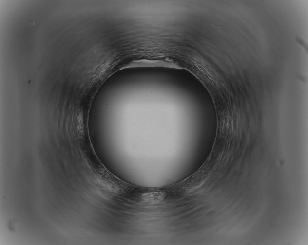 X0000091220700200708301452