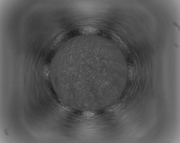 X0000091220701200708301452