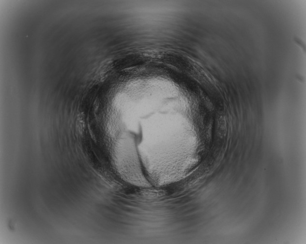 X0000091220707200708301452