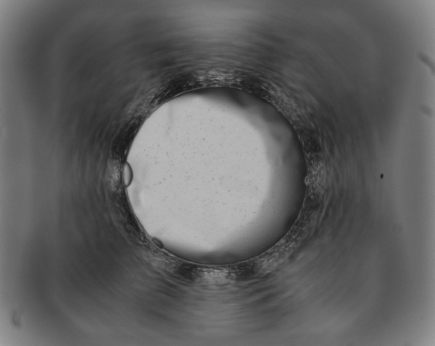 X0000091220709200708301452