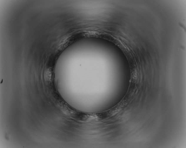 X0000091220715200708301452