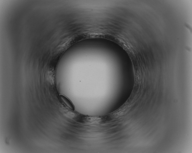 X0000091220719200708301452