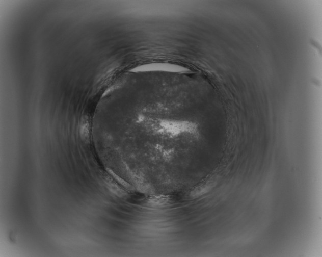 X0000091220720200708301452