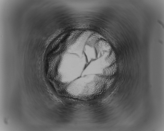 X0000091220721200708301451