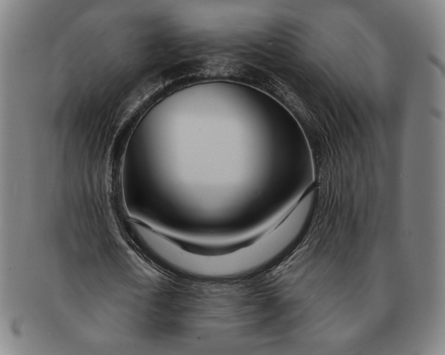 X0000091220722200708301451