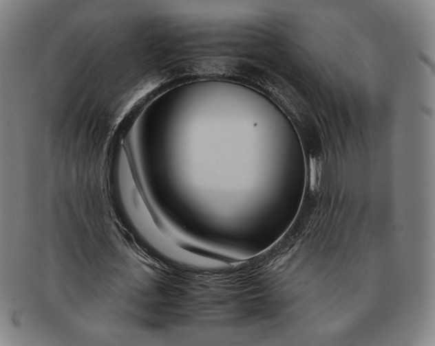 X0000091220723200708301451