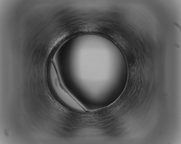 X0000091220727200708301451