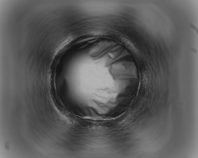 X0000091220730200708301451