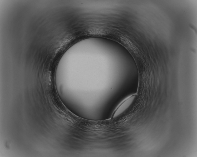 X0000091220731200708301451