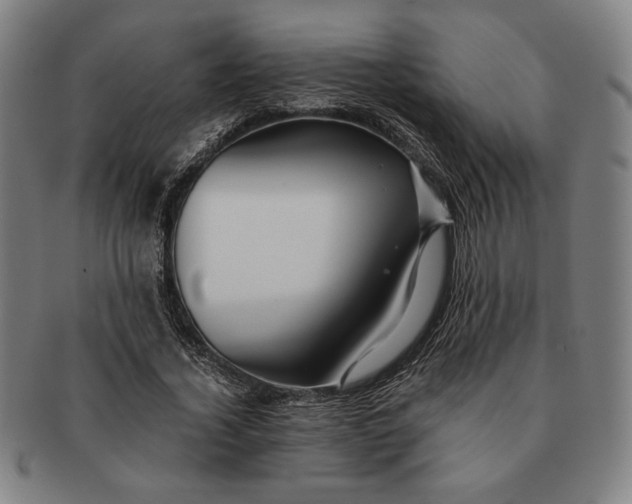 X0000091220732200708301451