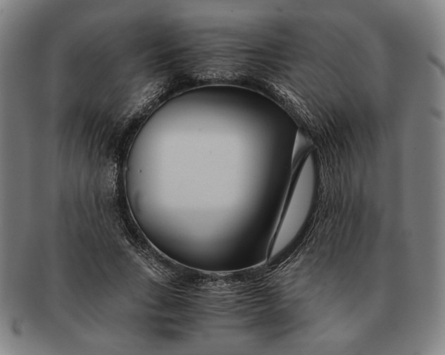 X0000091220735200708301451