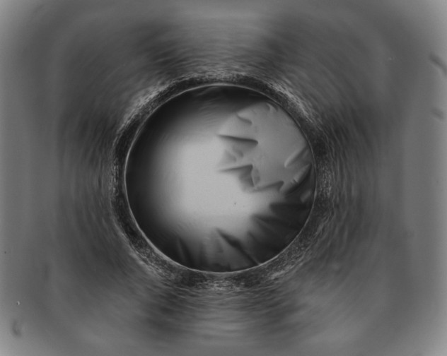 X0000091220736200708301451