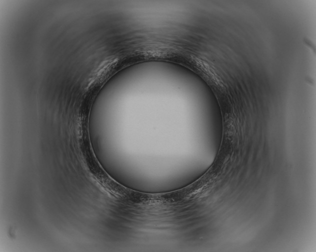 X0000091220738200708301451