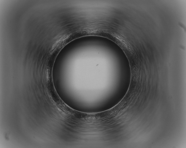 X0000091220740200708301451