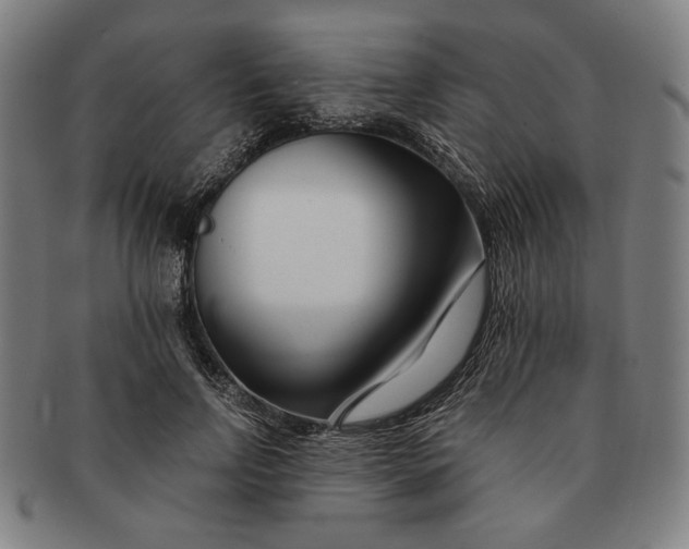 X0000091220742200708301451