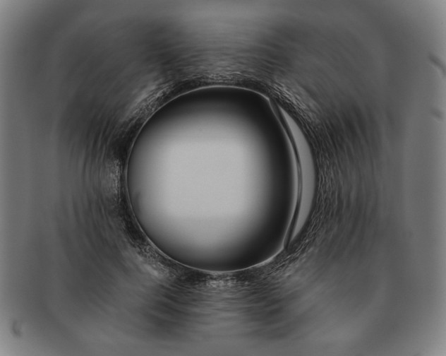 X0000091220744200708301451